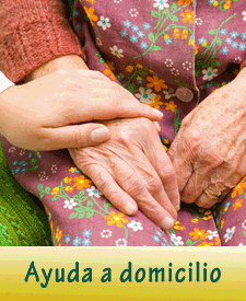 DARA - Ayuda a Domicilio